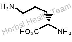 L_Ornithine_grow_taller